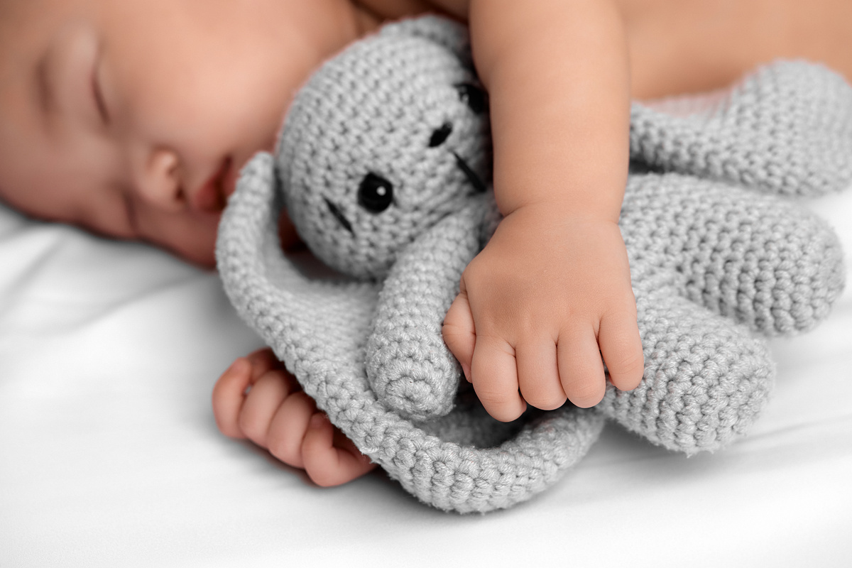 Cute Baby Sleeping with a Plush